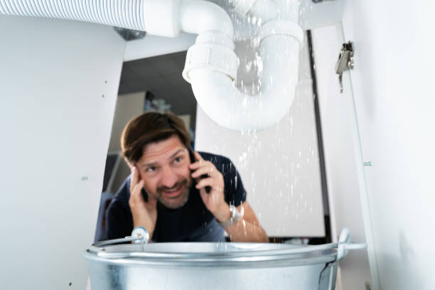 Best Clogged Drain Plumber  in Purvis, MS